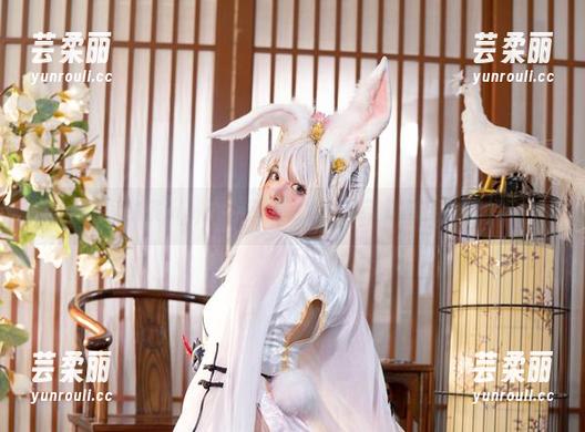 阿寨寨ninja的暗黑魅力：吊带袜与无圣光